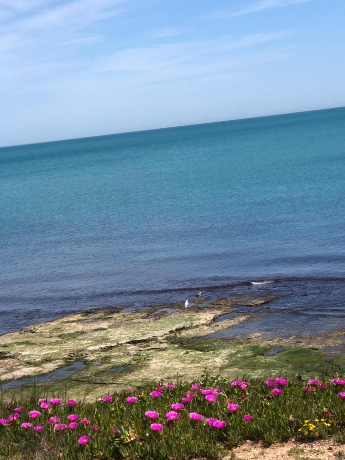 La Mata, Torrevieja Apartment ภายนอก รูปภาพ